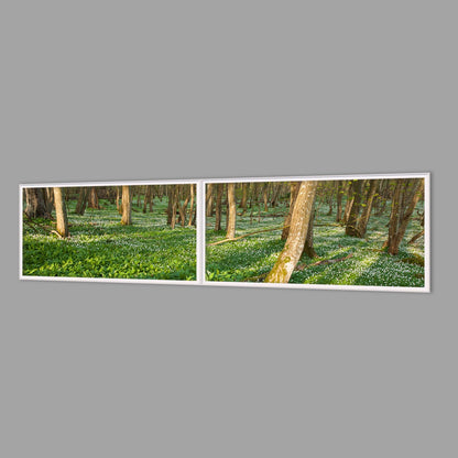 LED-Wandbild Zweiteiler quer 240x60 cm – Wald