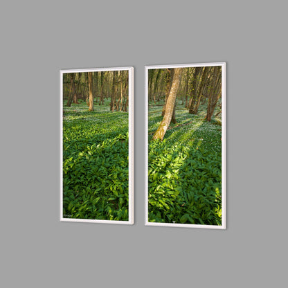 LED-Wandbild Zweiteiler hochkant mit Abstand – Wald