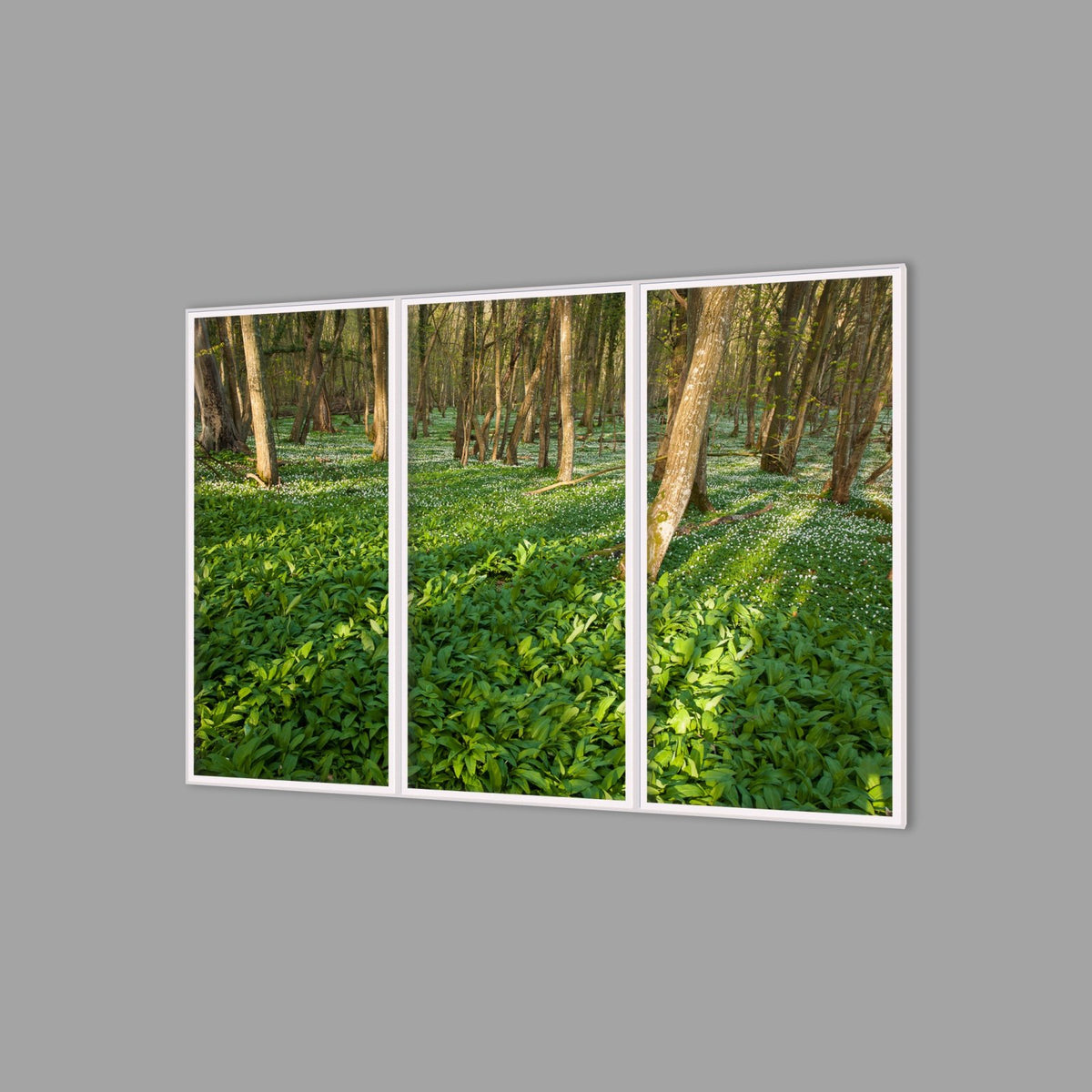 LED-Wandbild Dreiteiler hochkant 180x120 cm – Wald