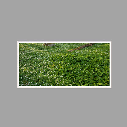 LED-Wandbild 60x120 cm quer – Wald