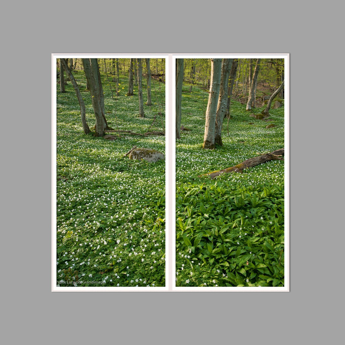 LED-Wandbild Zweiteiler hochkant 120x120 cm – Wald