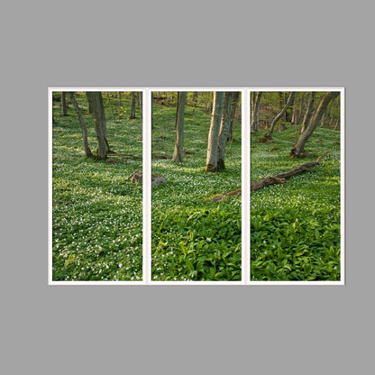 LED-Wandbild Dreiteiler hochkant 180x120 cm – Wald