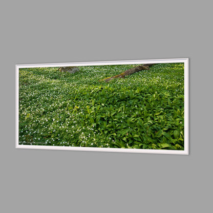 LED-Wandbild 60x120 cm quer – Wald