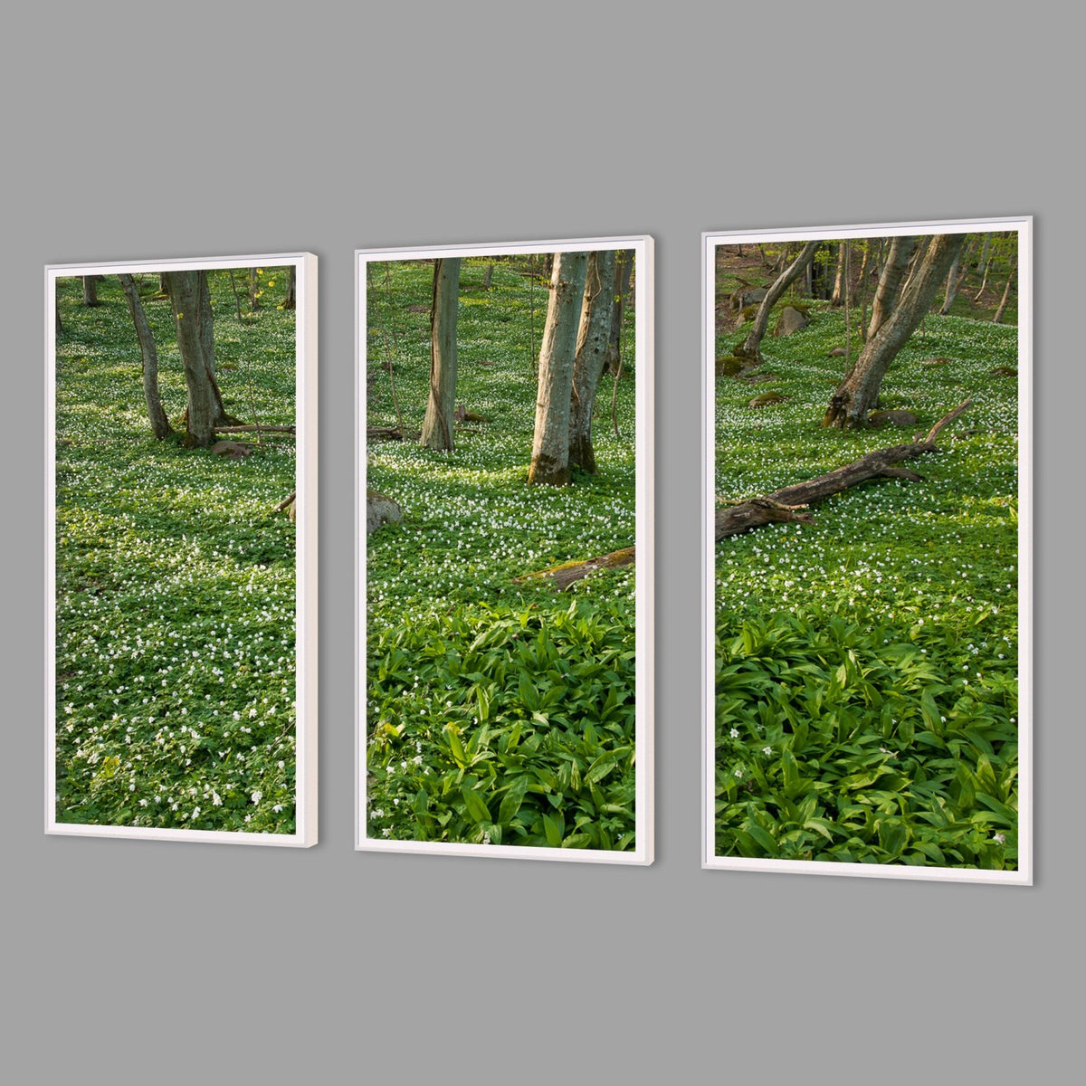 LED-Wandbild Dreiteiler hochkant mit Abstand – Wald