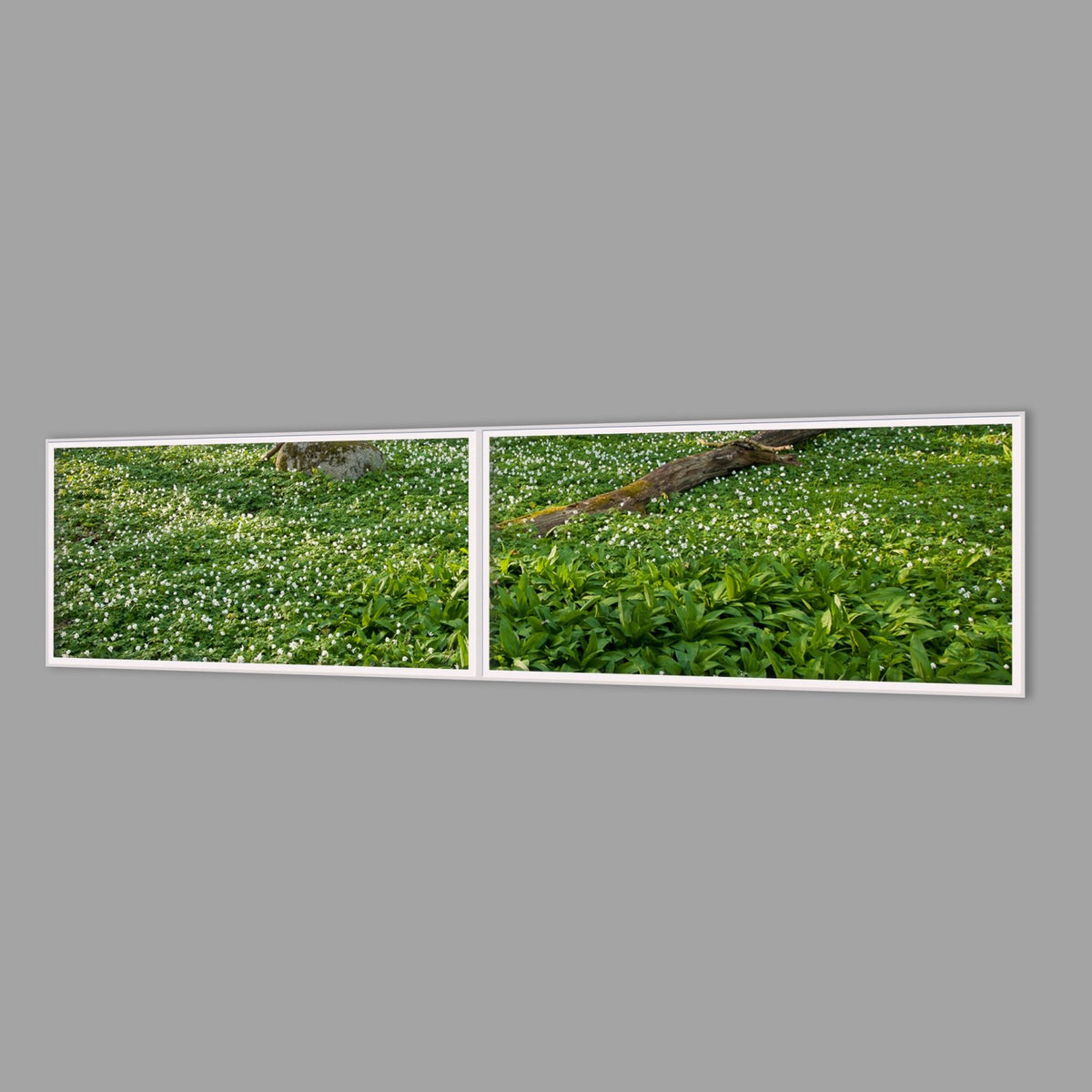 LED-Wandbild Zweiteiler quer 240x60 cm – Wald