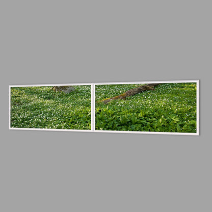 LED-Wandbild Zweiteiler quer 240x60 cm – Wald