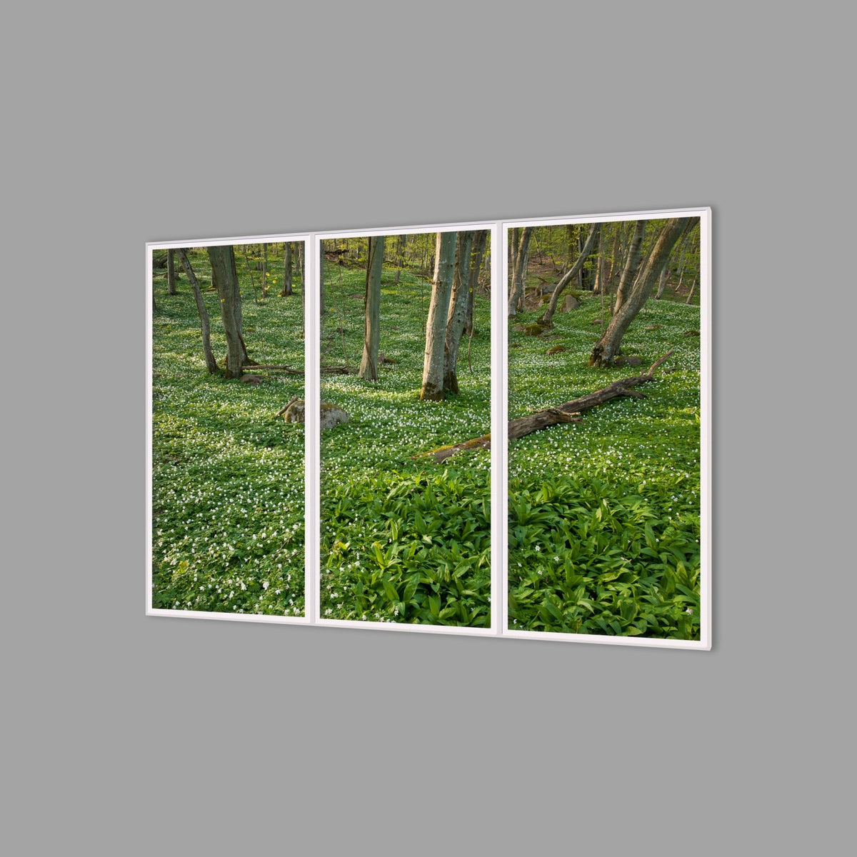 LED-Wandbild Dreiteiler hochkant 180x120 cm – Wald
