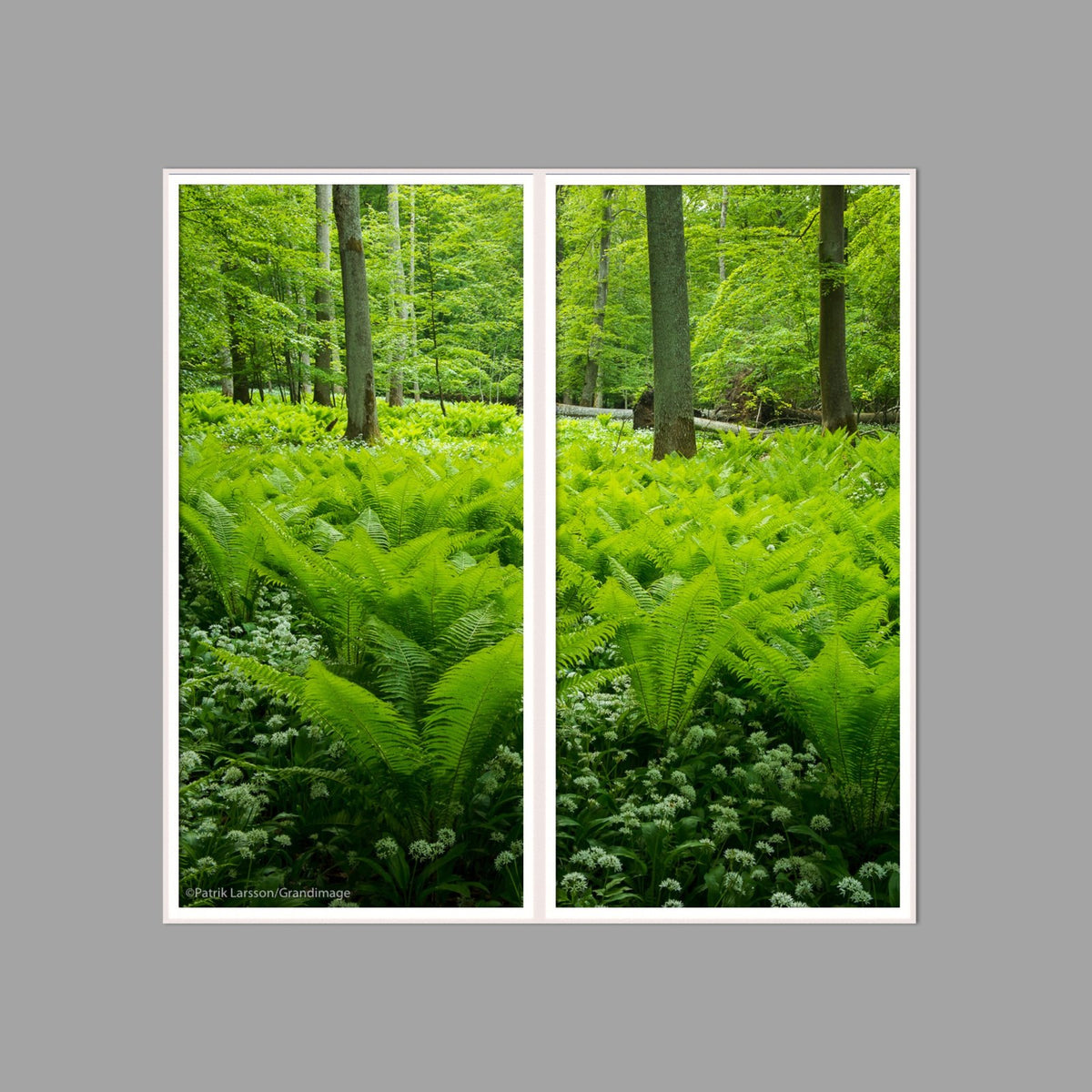 LED-Wandbild Zweiteiler hochkant 120x120 cm – Wald