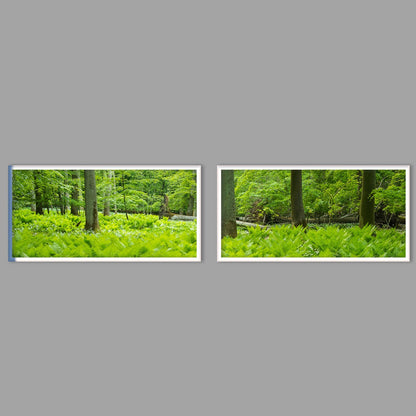 LED-Wandbild Zweiteiler quer mit Abstand – Wald