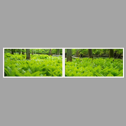 LED-Wandbild Zweiteiler quer 240x60 cm – Wald