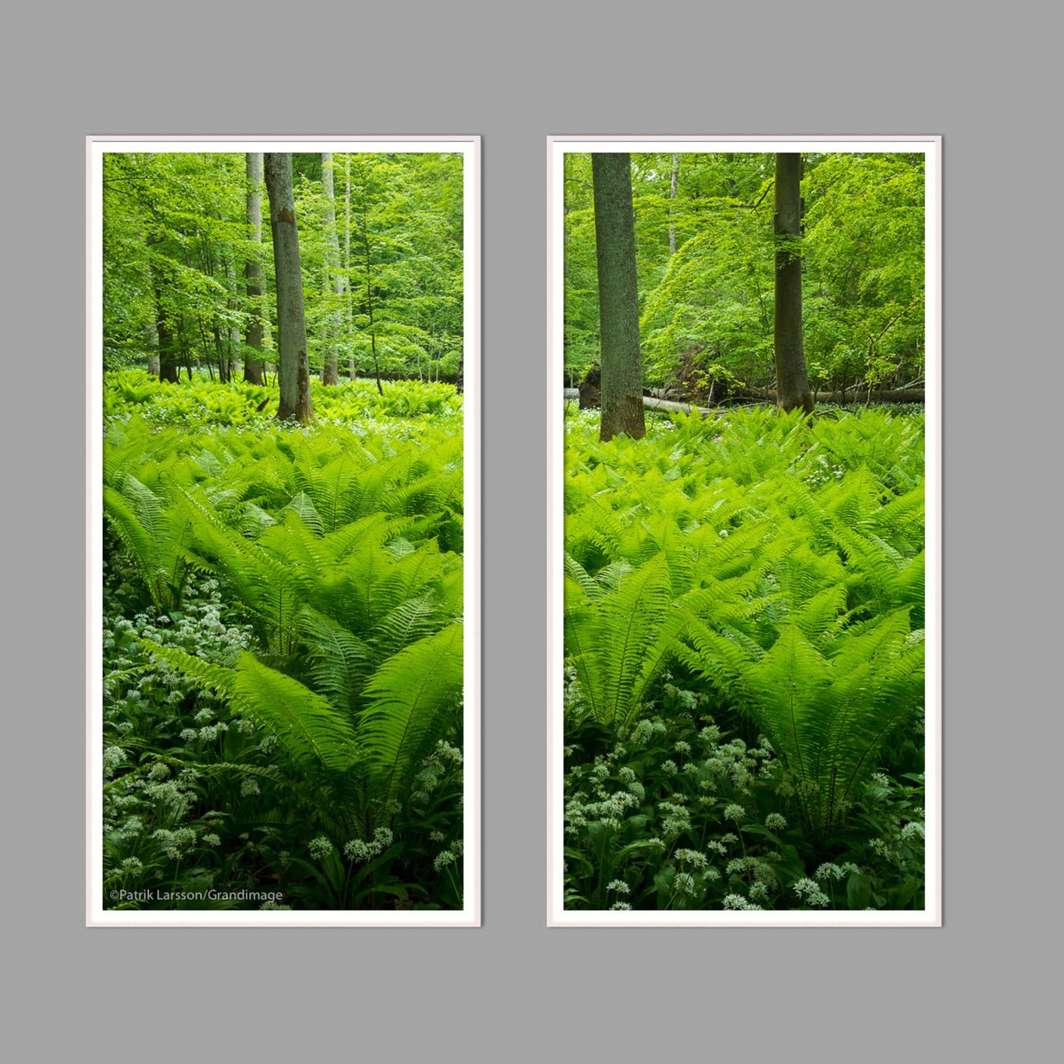 LED-Wandbild Zweiteiler hochkant mit Abstand – Wald