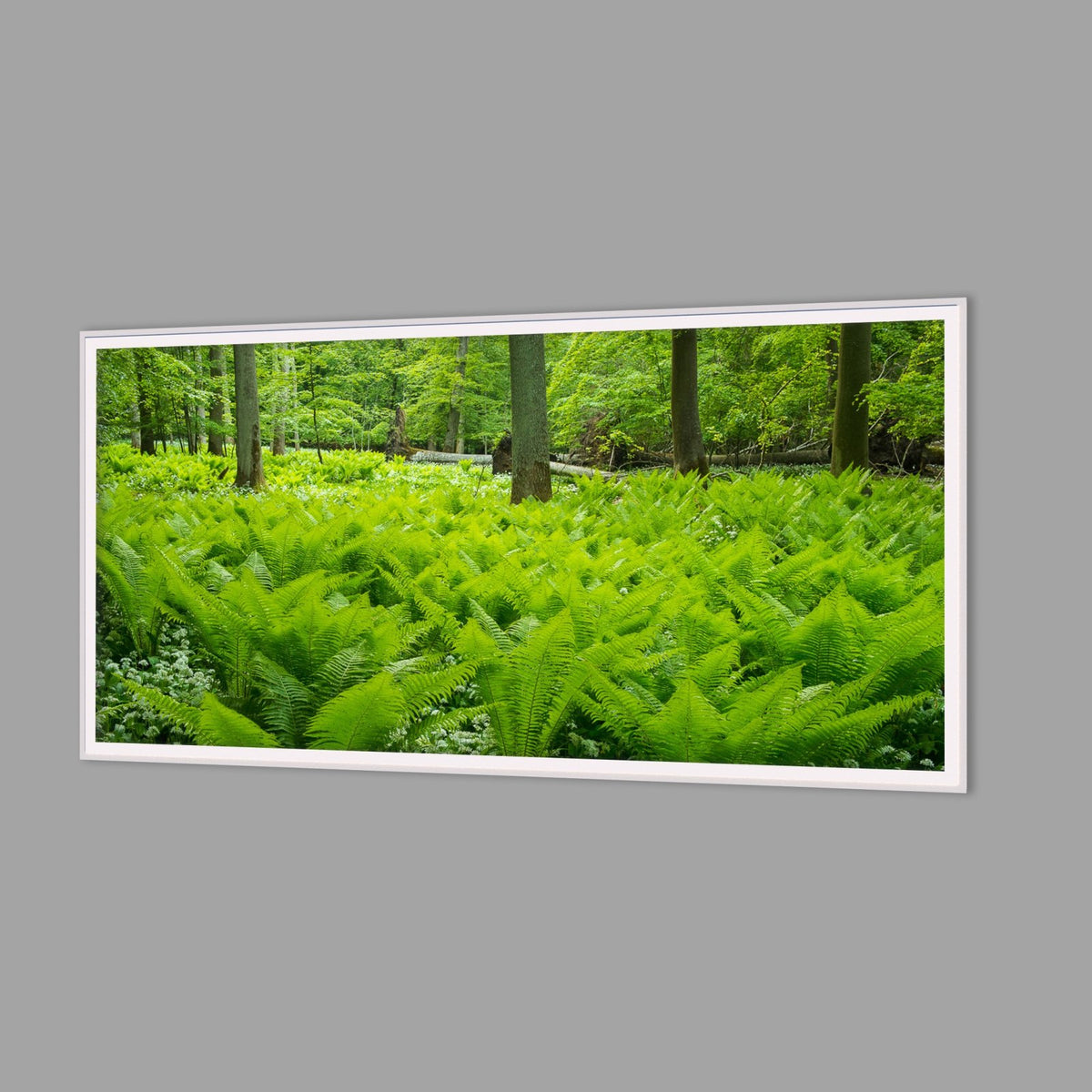 LED-Wandbild 60x120 cm quer – Wald