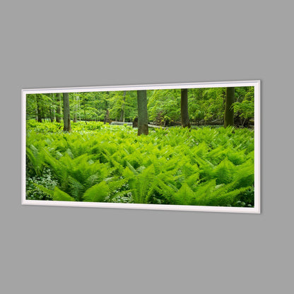 LED-Wandbild 60x120 cm quer – Wald