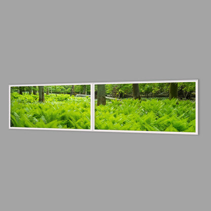 LED-Wandbild Zweiteiler quer 240x60 cm – Wald