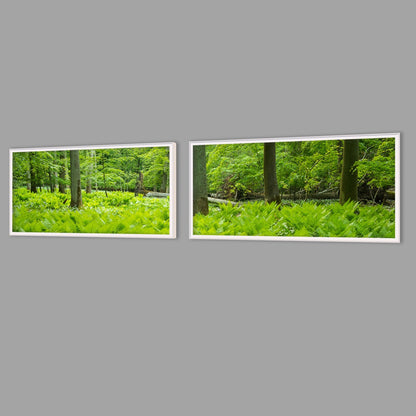 LED-Wandbild Zweiteiler quer mit Abstand – Wald