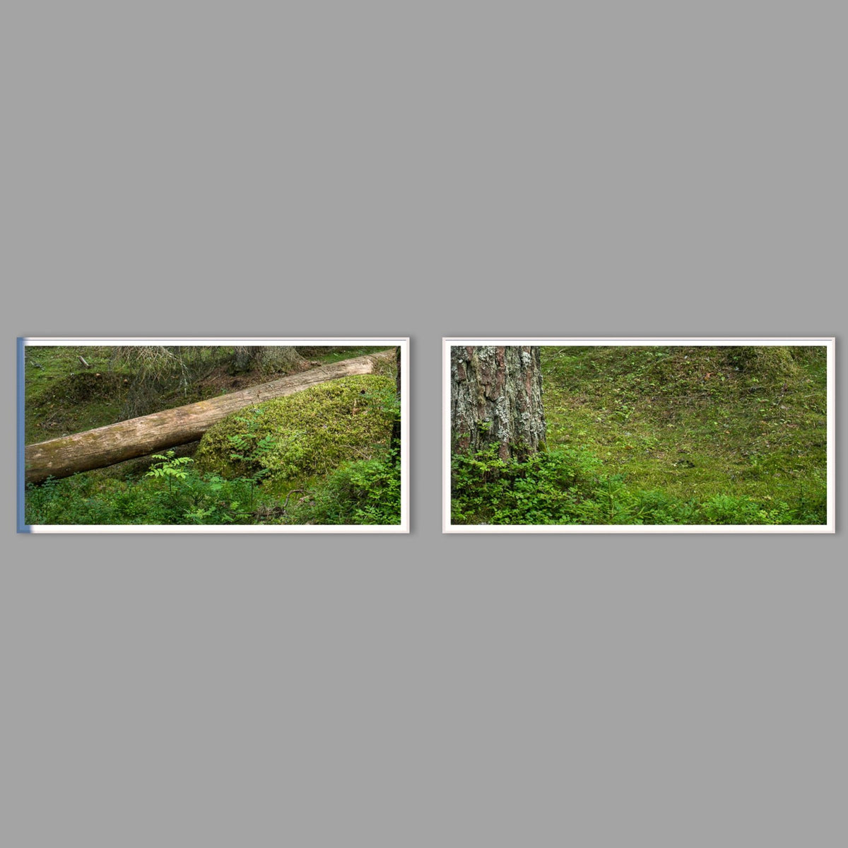 LED-Wandbild Zweiteiler quer mit Abstand – Wald