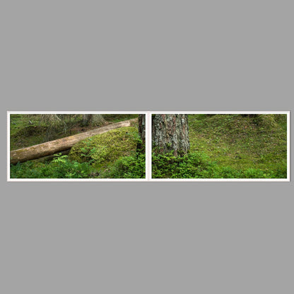 LED-Wandbild Zweiteiler quer 240x60 cm – Wald