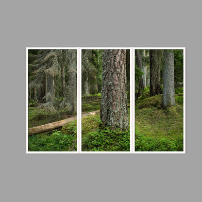 LED-Wandbild Dreiteiler hochkant 180x120 cm – Wald