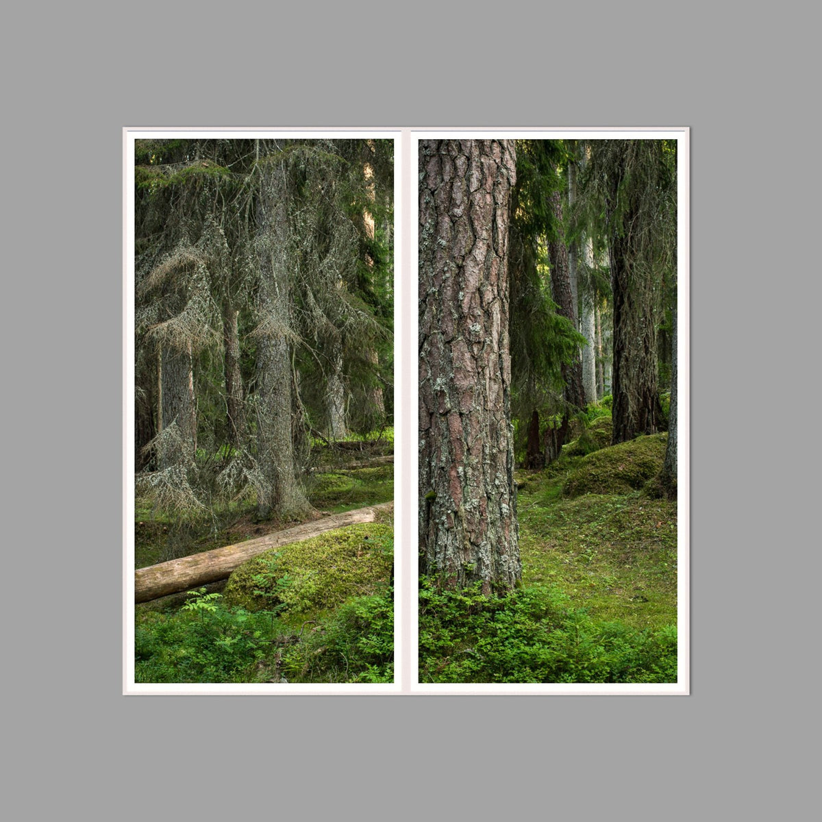 LED-Wandbild Zweiteiler hochkant 120x120 cm – Wald