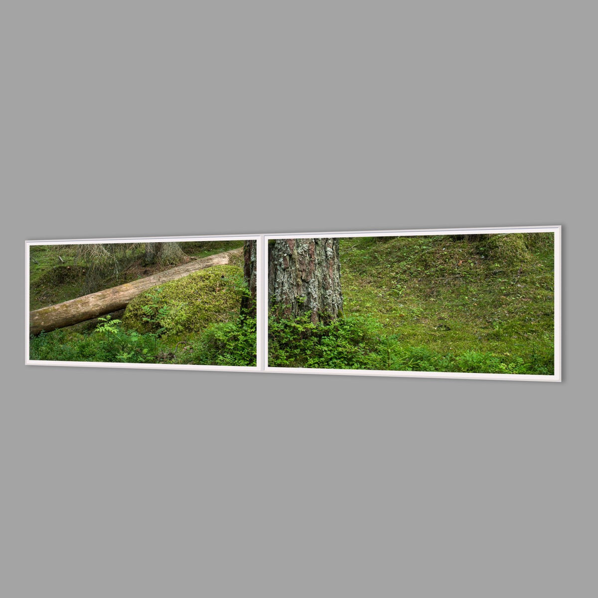 LED-Wandbild Zweiteiler quer 240x60 cm – Wald