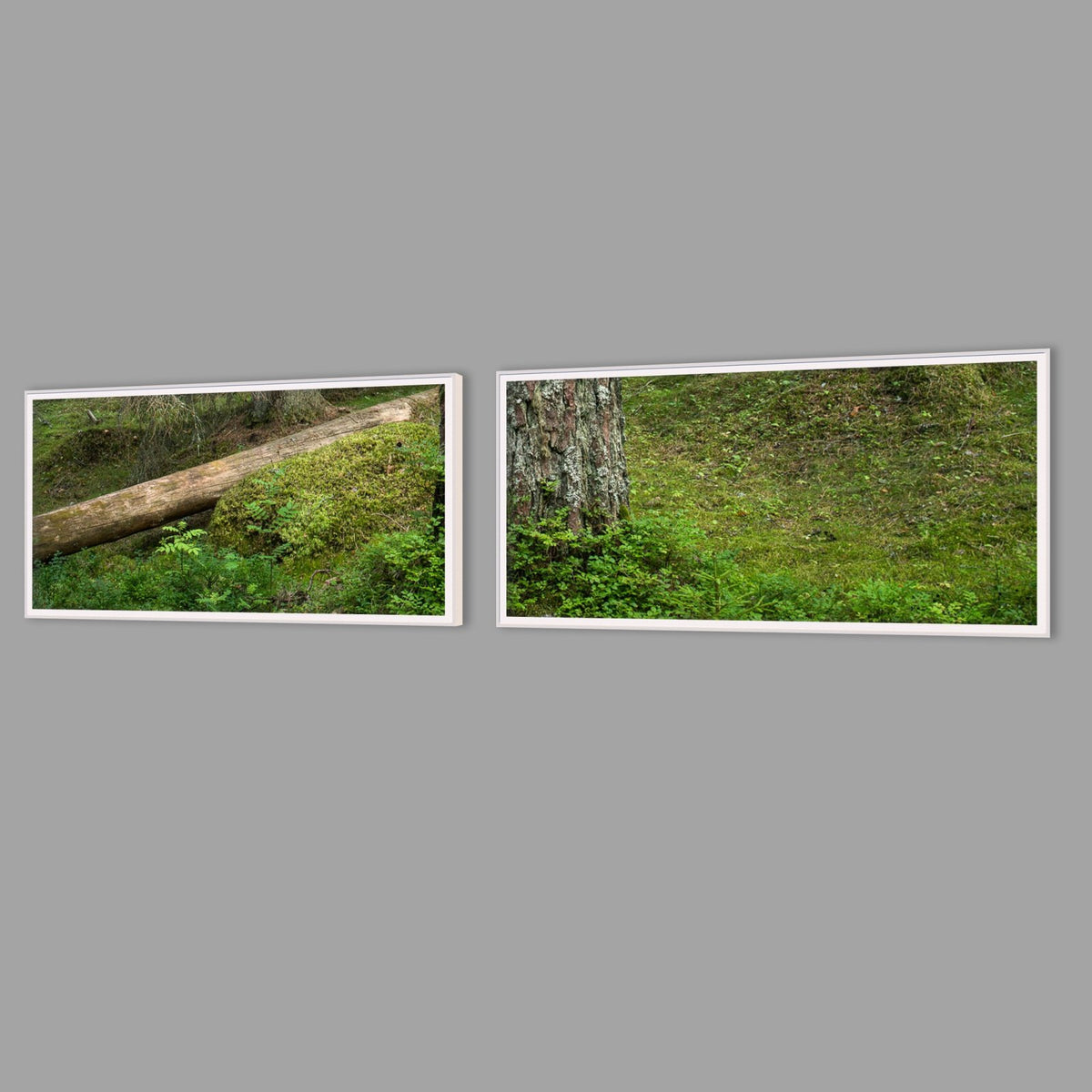 LED-Wandbild Zweiteiler quer mit Abstand – Wald