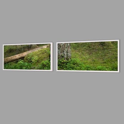 LED-Wandbild Zweiteiler quer mit Abstand – Wald