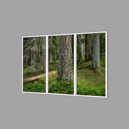 LED-Wandbild Dreiteiler hochkant 180x120 cm – Wald