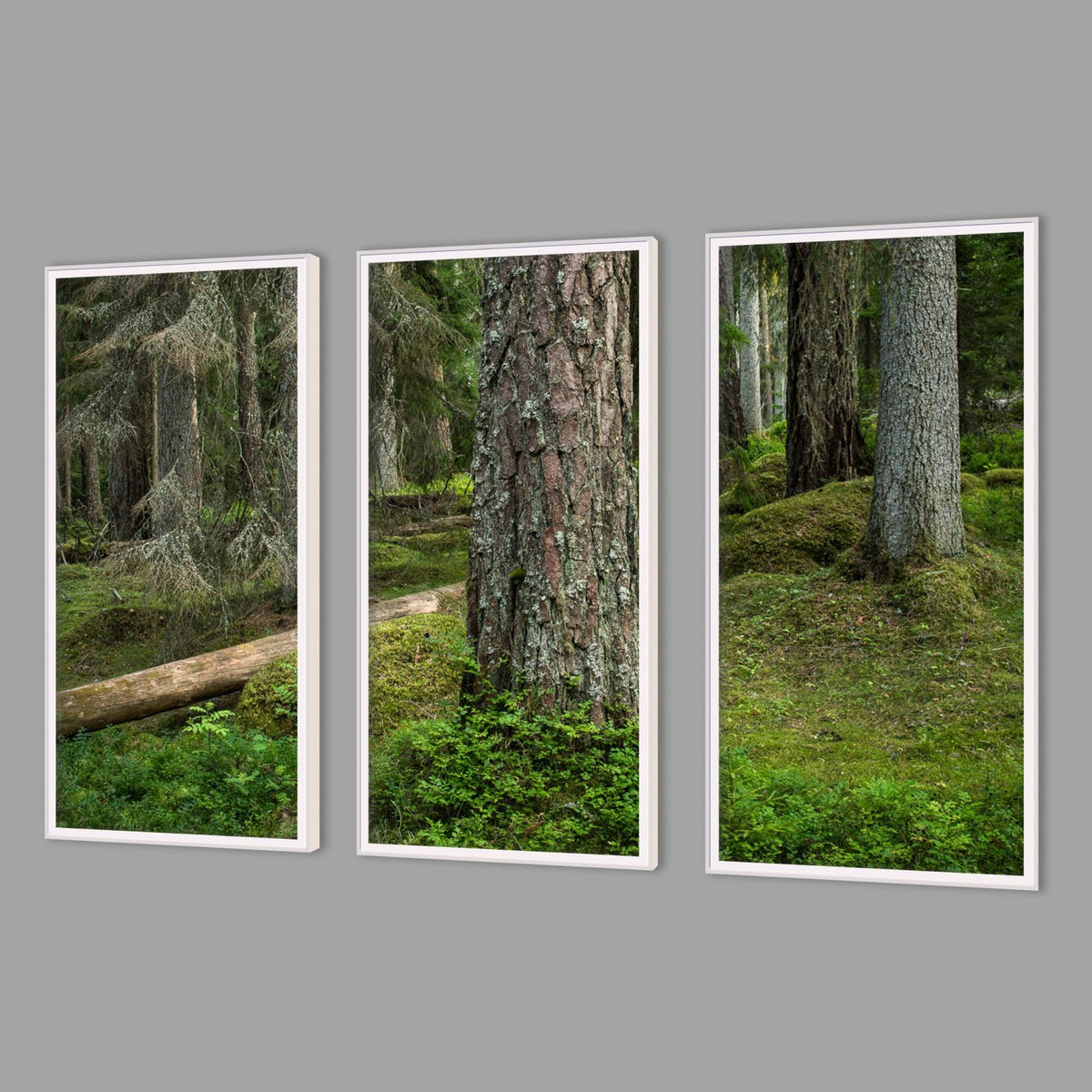 LED-Wandbild Dreiteiler hochkant mit Abstand – Wald