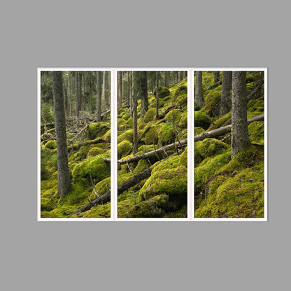 LED-Wandbild Dreiteiler hochkant 180x120 cm – Wald