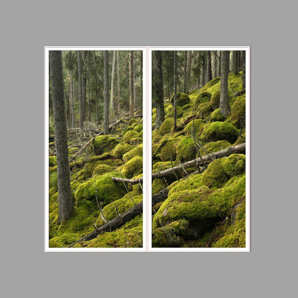 LED-Wandbild Zweiteiler hochkant 120x120 cm – Wald