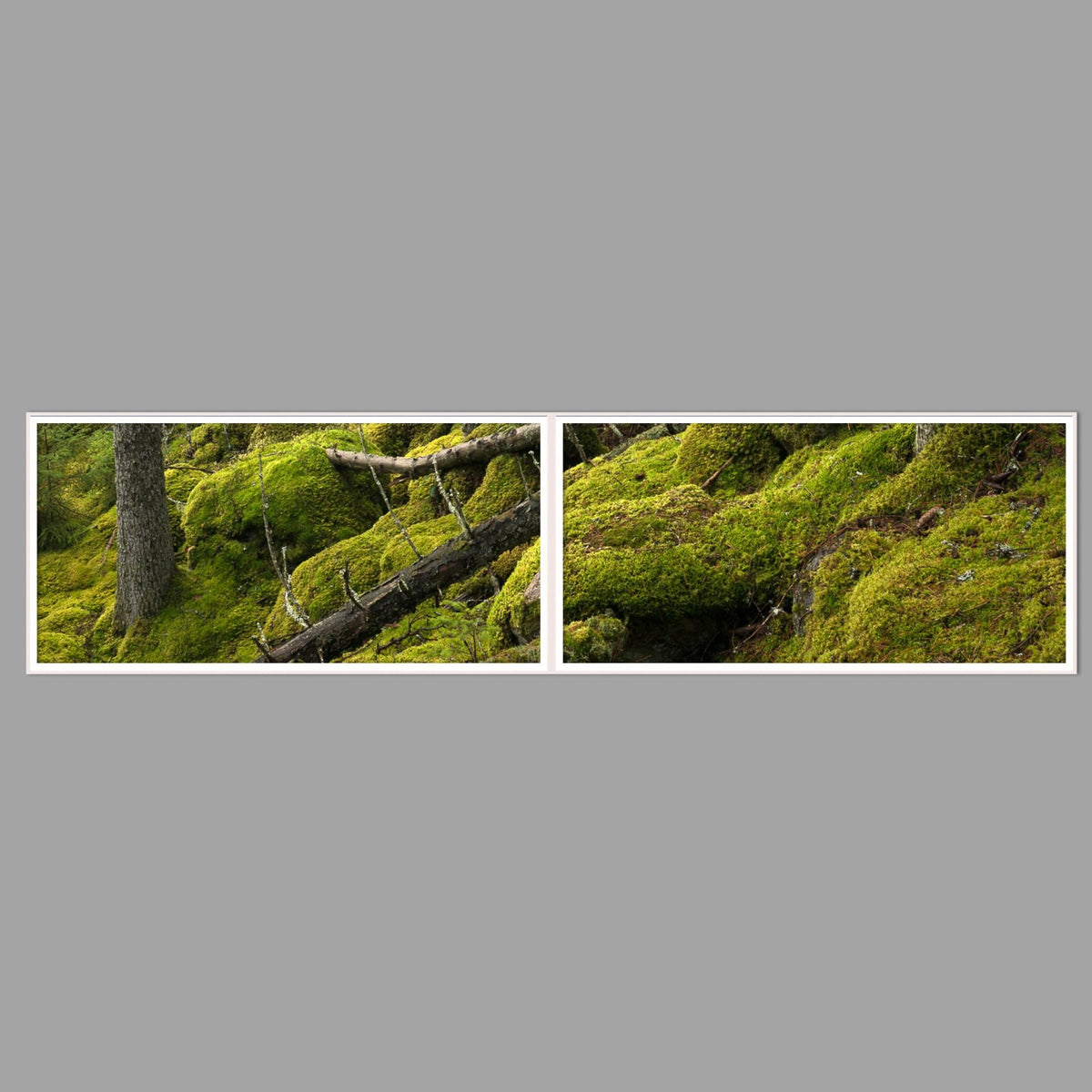 LED-Wandbild Zweiteiler quer 240x60 cm – Wald
