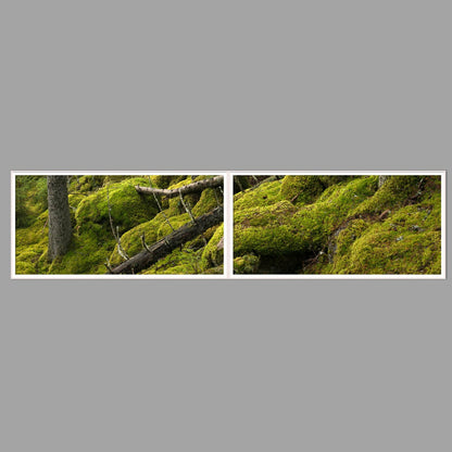 LED-Wandbild Zweiteiler quer 240x60 cm – Wald