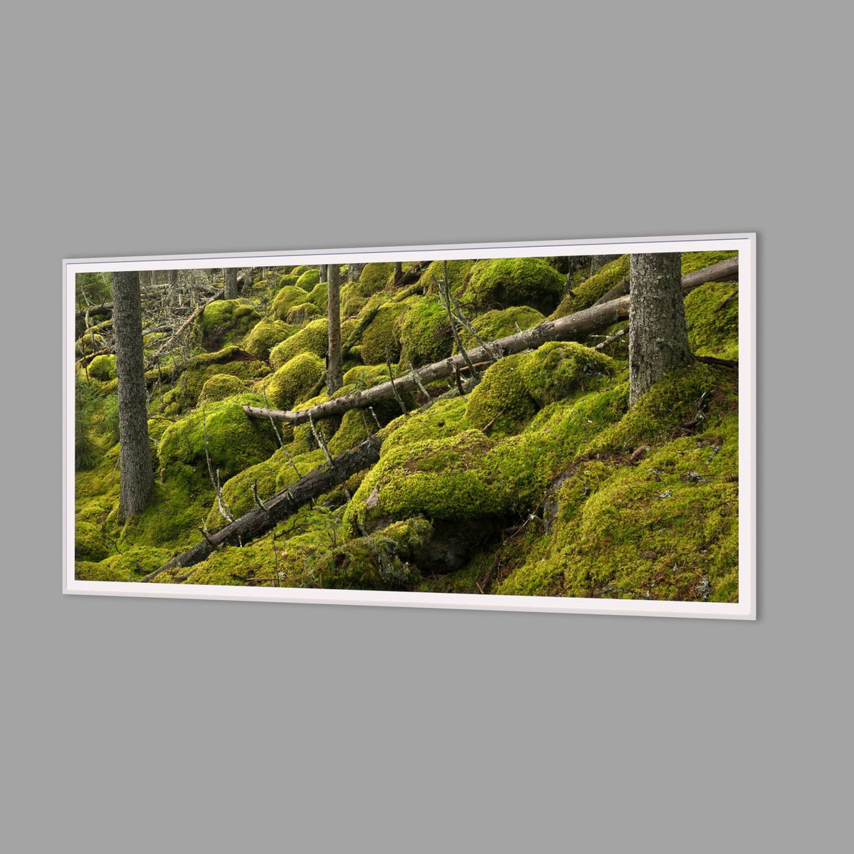 LED-Wandbild 60x120 cm quer – Wald