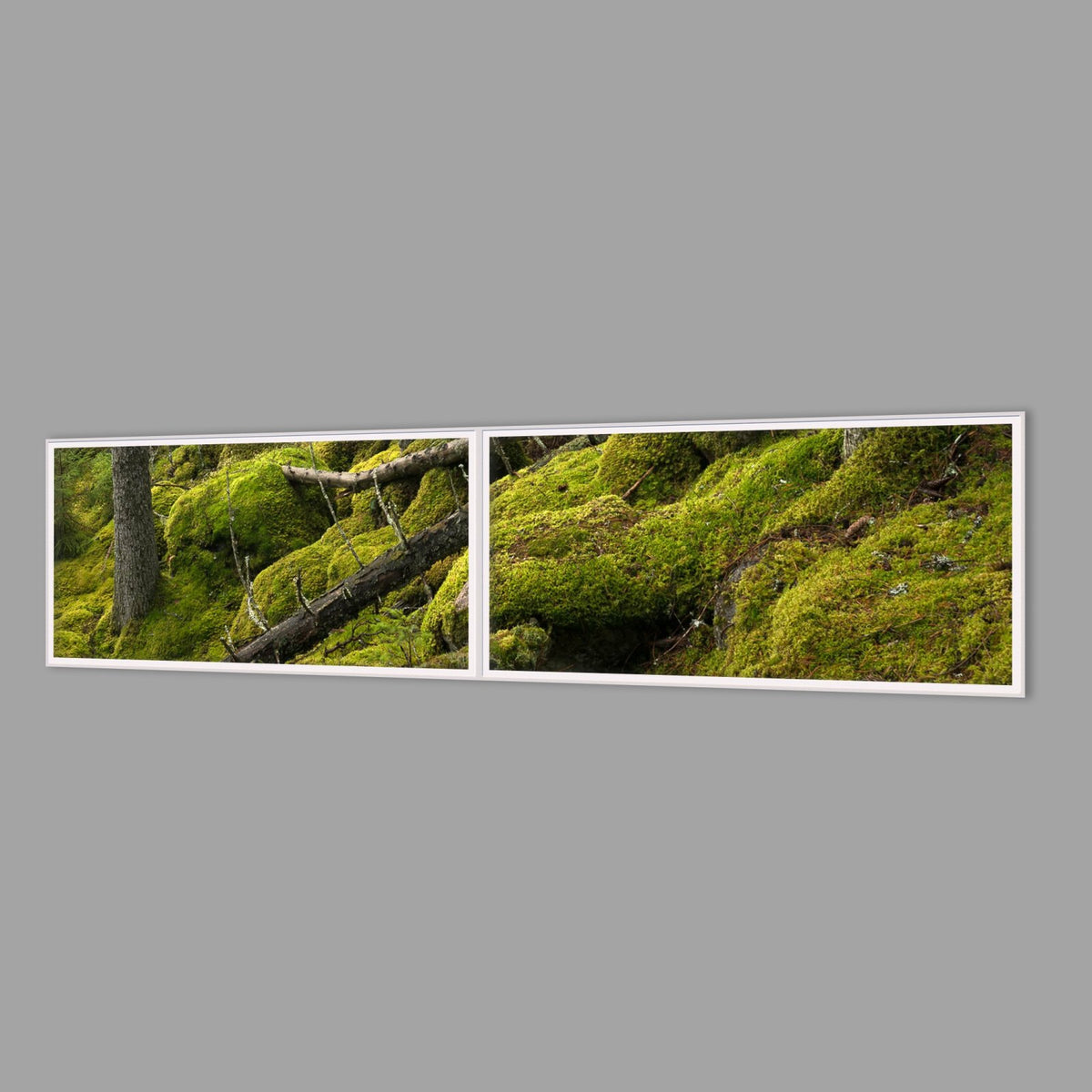 LED-Wandbild Zweiteiler quer 240x60 cm – Wald
