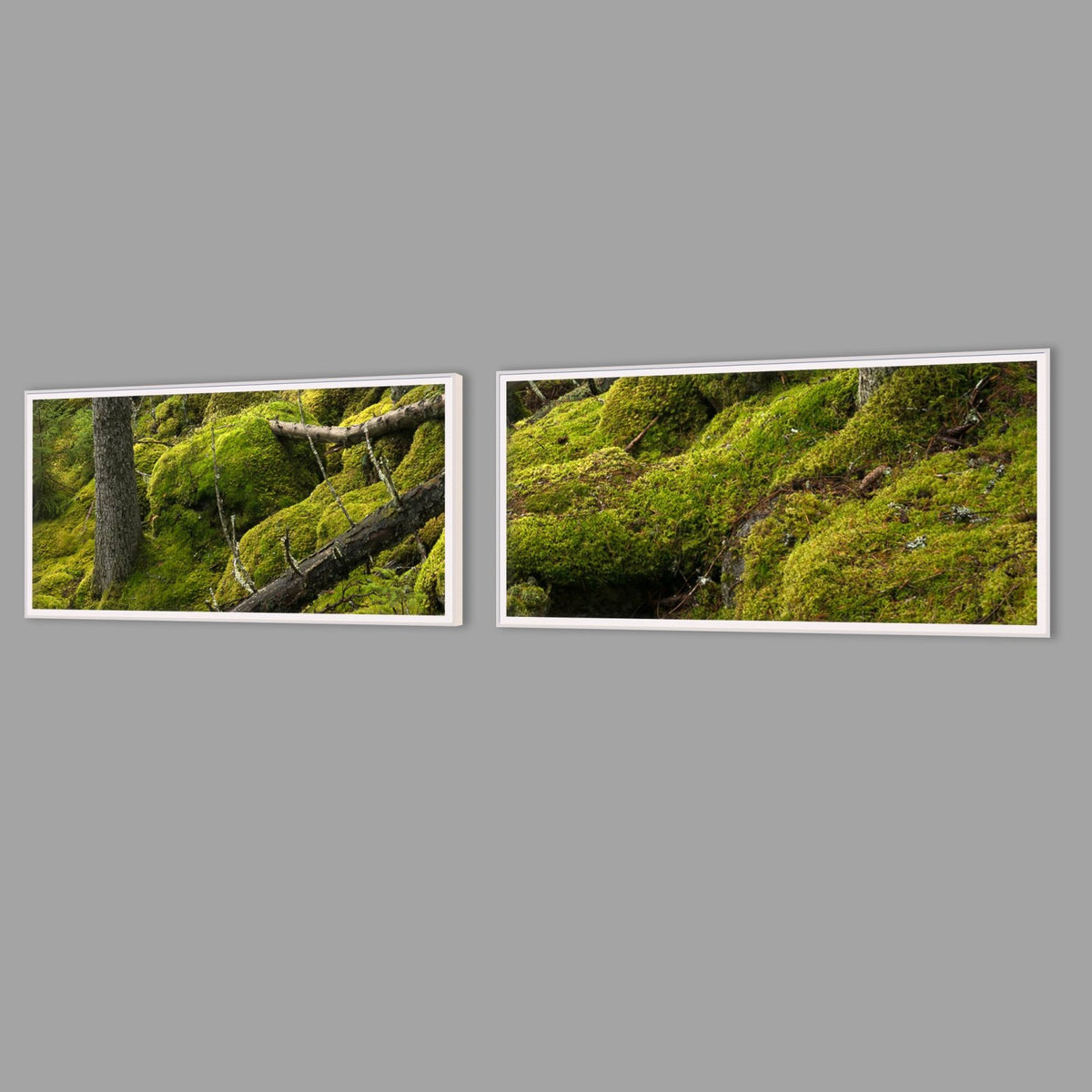 LED-Wandbild Zweiteiler quer mit Abstand – Wald