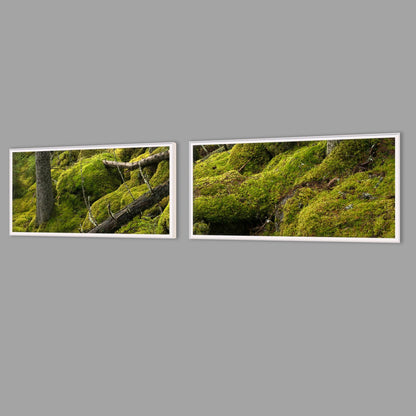 LED-Wandbild Zweiteiler quer mit Abstand – Wald