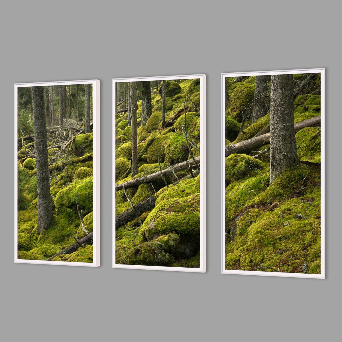 LED-Wandbild Dreiteiler hochkant mit Abstand – Wald