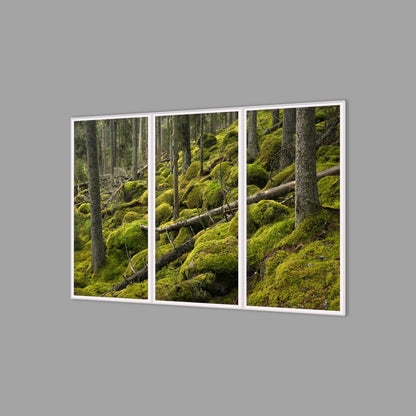 LED-Wandbild Dreiteiler hochkant 180x120 cm – Wald