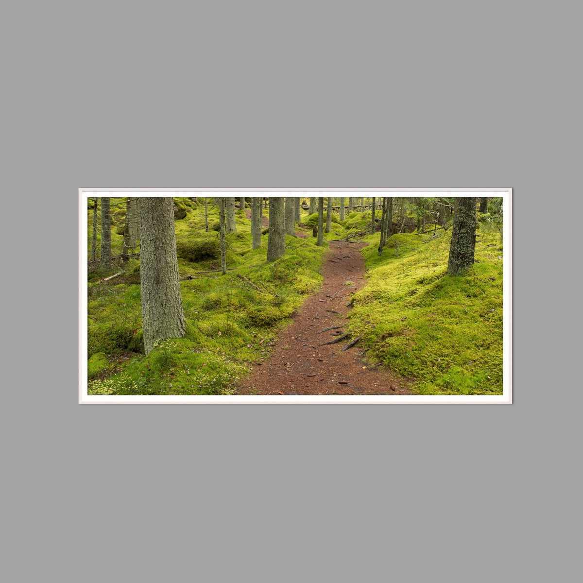 LED-Wandbild 60x120 cm quer – Wald