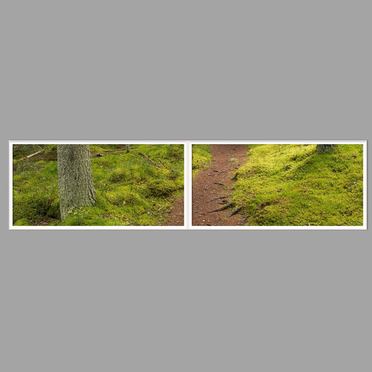 LED-Wandbild Zweiteiler quer 240x60 cm – Wald