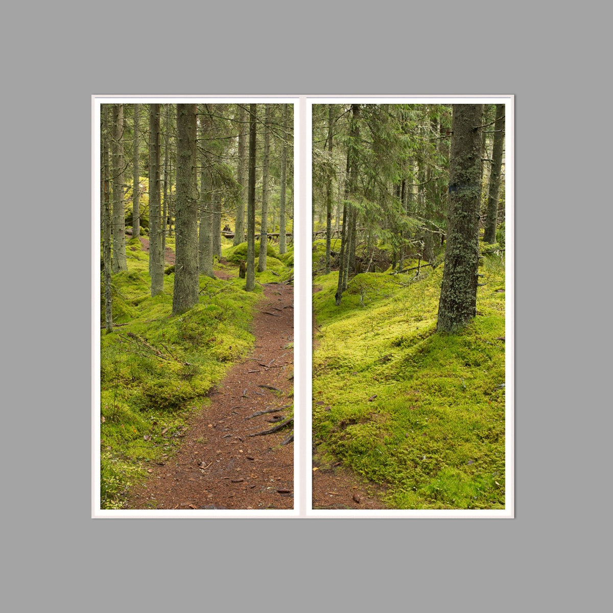 LED-Wandbild Zweiteiler hochkant 120x120 cm – Wald