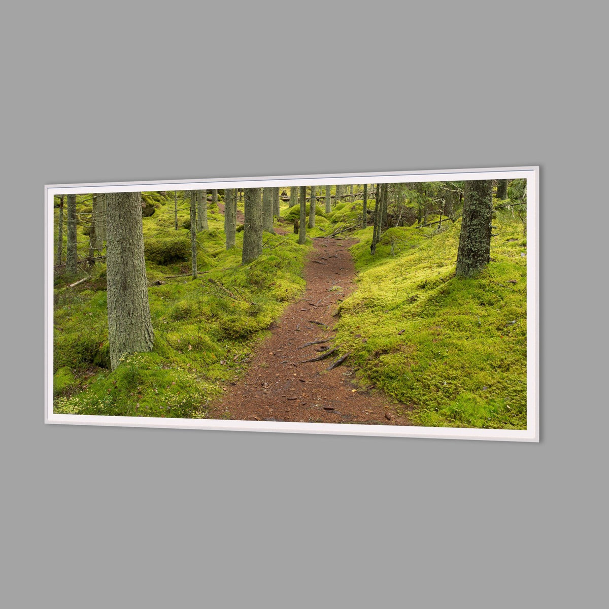 LED-Wandbild 60x120 cm quer – Wald