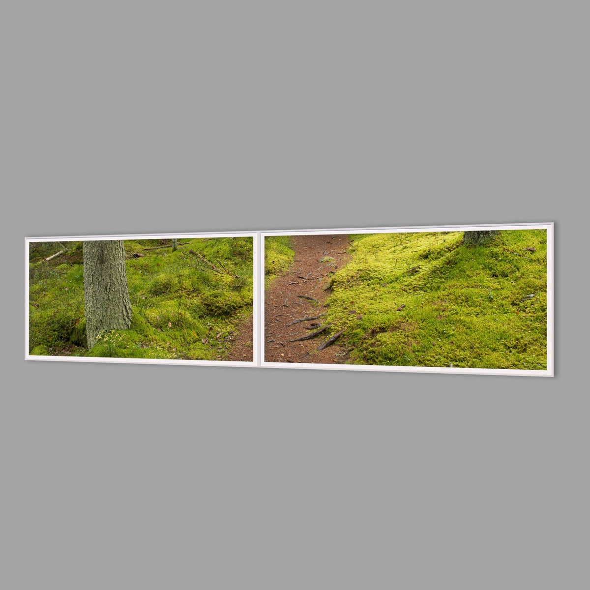 LED-Wandbild Zweiteiler quer 240x60 cm – Wald