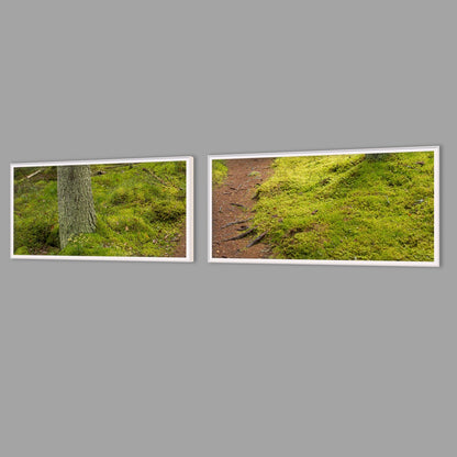 LED-Wandbild Zweiteiler quer mit Abstand – Wald