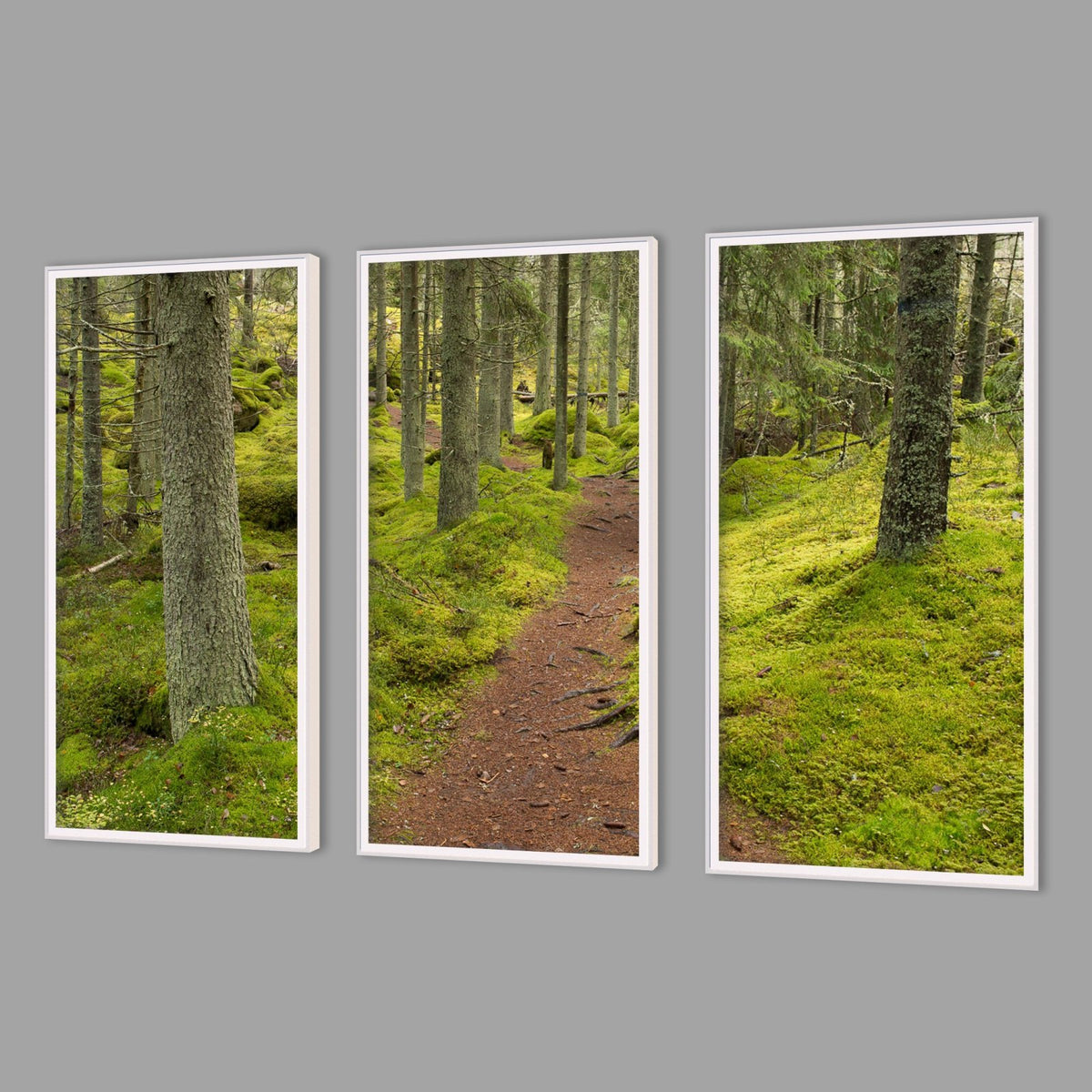 LED-Wandbild Dreiteiler hochkant mit Abstand – Wald