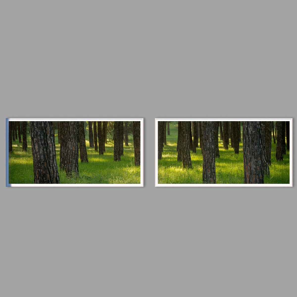 LED-Wandbild Zweiteiler quer mit Abstand – Wald
