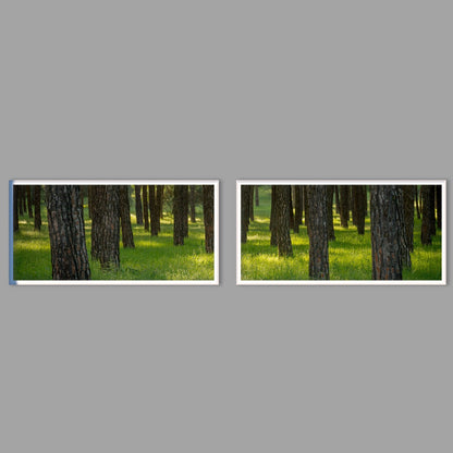 LED-Wandbild Zweiteiler quer mit Abstand – Wald