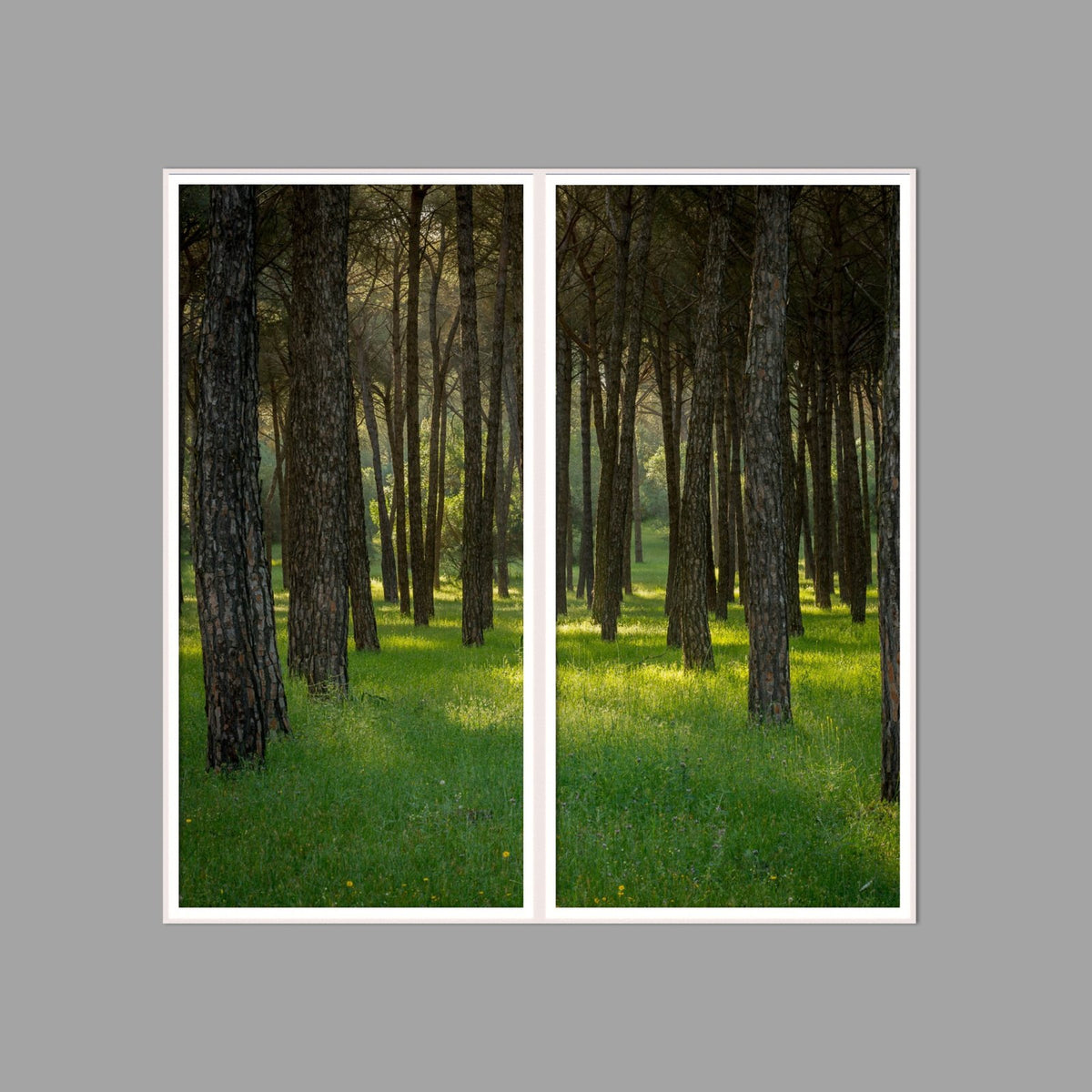 LED-Wandbild Zweiteiler hochkant 120x120 cm – Wald