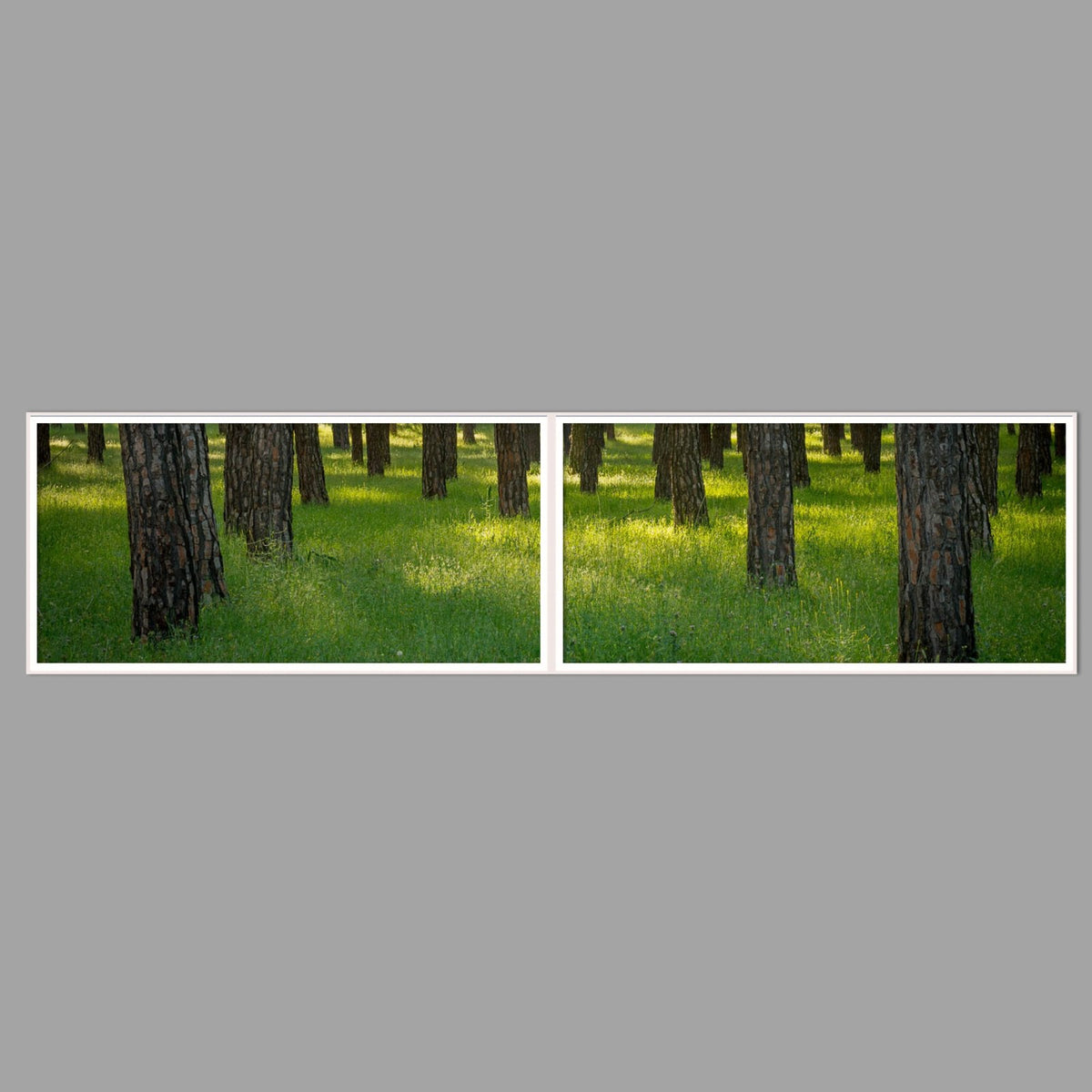 LED-Wandbild Zweiteiler quer 240x60 cm – Wald