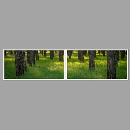 LED-Wandbild Zweiteiler quer 240x60 cm – Wald